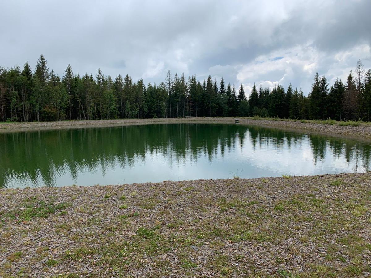 Residenz Schauinsland Todtnauberg - Fewo 17 - Sauna - Spielzimmer Fuer Kinder - Naehe Feldberg Exterior foto