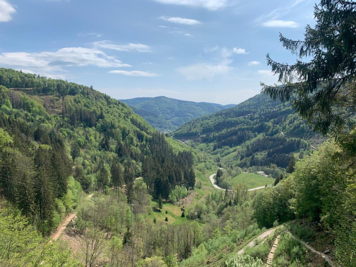 Residenz Schauinsland Todtnauberg - Fewo 17 - Sauna - Spielzimmer Fuer Kinder - Naehe Feldberg Exterior foto